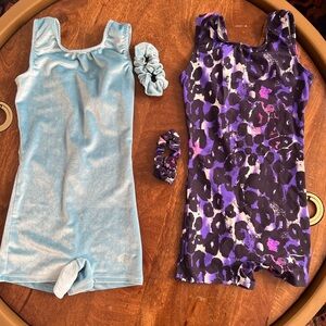 Blue and Purple Girls' Destira Leotard Set with matching Scrunchies